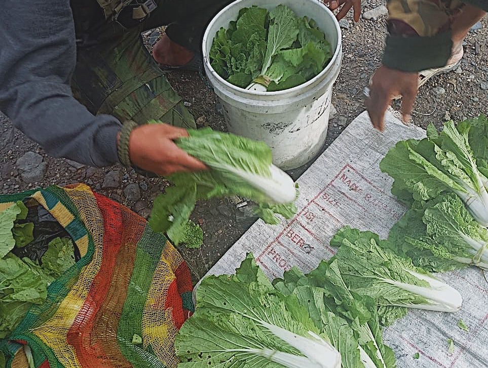 Satgas Yonif 509 Kostrad Laksanakan Program “Rosita” di Titik Kuat J2, Borong Hasil Tani Sebelum (2)