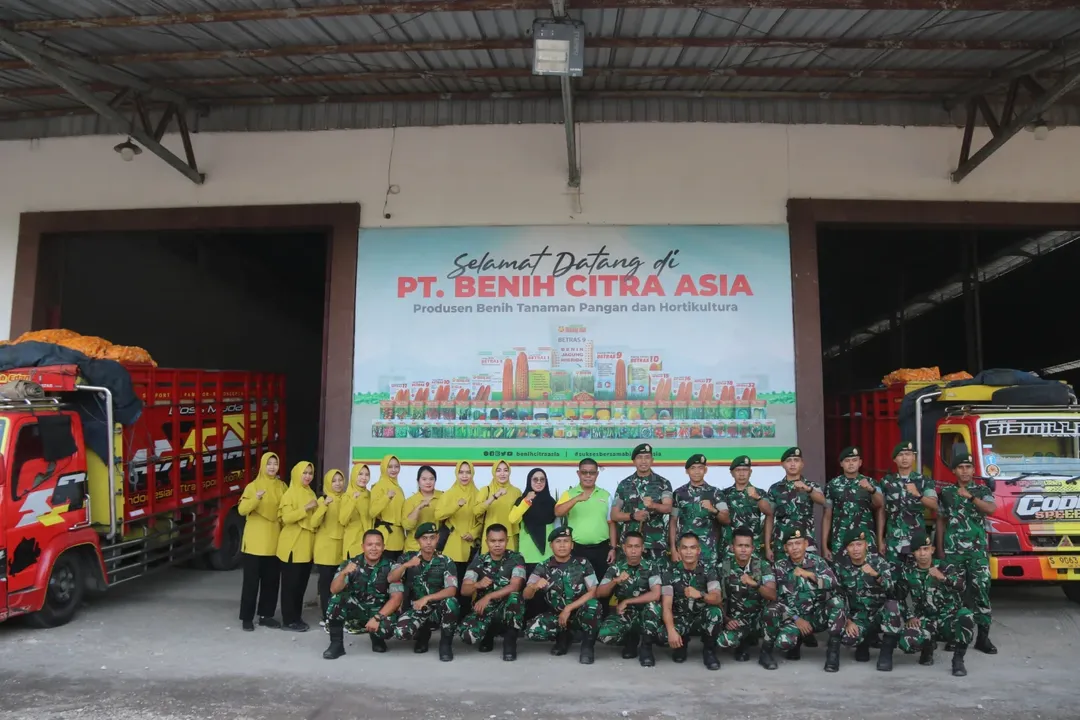 Dalam upaya mendukung Asta Cita Presiden Republik Indonesia, Jenderal TNI (Purn.) H. Prabowo Subianto, khususnya dalam mewujudkan kemandirian dan swasembada pangan nasional, Yonif 514/SY bersama Persit KCK Ranting 3 Yonif 514 melaksanakan kunjungan ke PT Benih Citra Asia (BCA) yang berlokasi di Jalan Akmaludin No. 26, Desa Wirowongso, Kabupaten Jember, pada Senin (22/09/2025).  Kegiatan ini dipimpin langsung oleh Danyonif 514/SY, Letkol Inf Ugroseno, didampingi oleh Ketua Persit KCK Ranting 3 Yonif 514, Ny. Susen Ugroseno, serta para Komandan Kompi Yonif 514/SY.  Dalam kunjungan tersebut, rombongan disambut langsung oleh Koordinator Plant, H. Basis Siswanto. Menurut Basis, kunjungan ini merupakan balasan atas kunjungan sebelumnya dari pihak BCA ke lahan yang dikelola oleh Batalyon Infanteri 514/SY Kostrad yang bertujuan memastikan bahwa lahan tersebut memenuhi standar untuk memproduksi benih berkualitas tinggi.  Danyonif 514/SY menyampaikan rasa hormat serta terima kasih atas sambutan baik dari manajemen PT BCA Jember. Kegiatan ini dinilainya sangat bermanfaat karena memberi edukasi mengenai proses produksi benih tanaman dan hortikultura mulai dari proses awal hingga benih siap tanam, mengingat satuan Yonif 514 memiliki lahan yang luas dan dikelola oleh masing-masing kompi untuk mendukung program ketahanan pangan pemerintah.  Yonif 514/SY menunjukkan bahwa prajurit tak hanya gagah di medan pertempuran, tetapi juga tangguh dalam mengawal cita-cita besar bangsa menuju kemandirian pangan demi kejayaan Indonesia.  "Kuat, Kokoh, Pilih Tanding, dan Sentosa" SABADDHA YUDHA