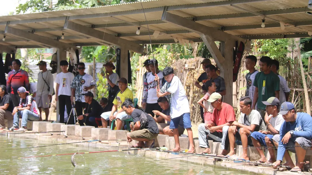 SaveClip.App_608713476_18389935276199014_1459509466528174358_n (1)